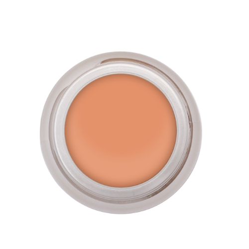 Simply Concealers - N S Cosmetics 