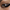 collections/Untitled_design_9.png