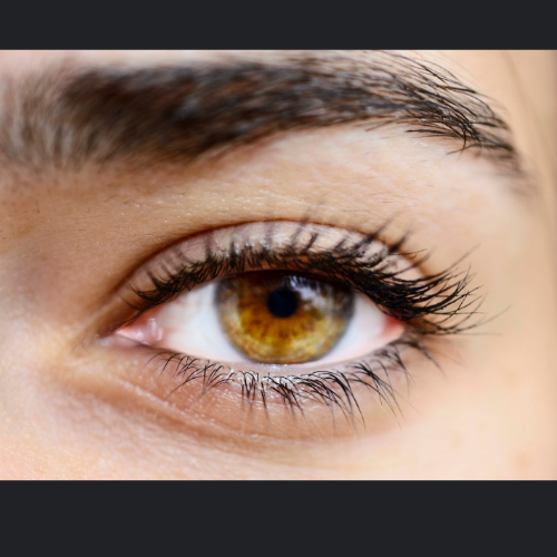 Organic Eye Serum - N S Cosmetics