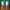 Organic Peach Lip Gloss - N S Cosmetics
