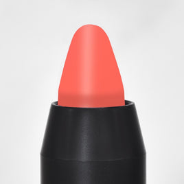 NS Color Sticks - N S Cosmetics 